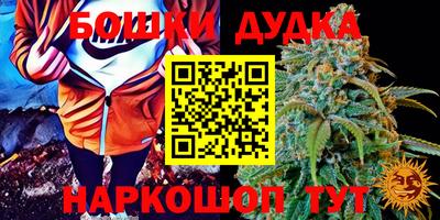 прущие грибы Рузаевка