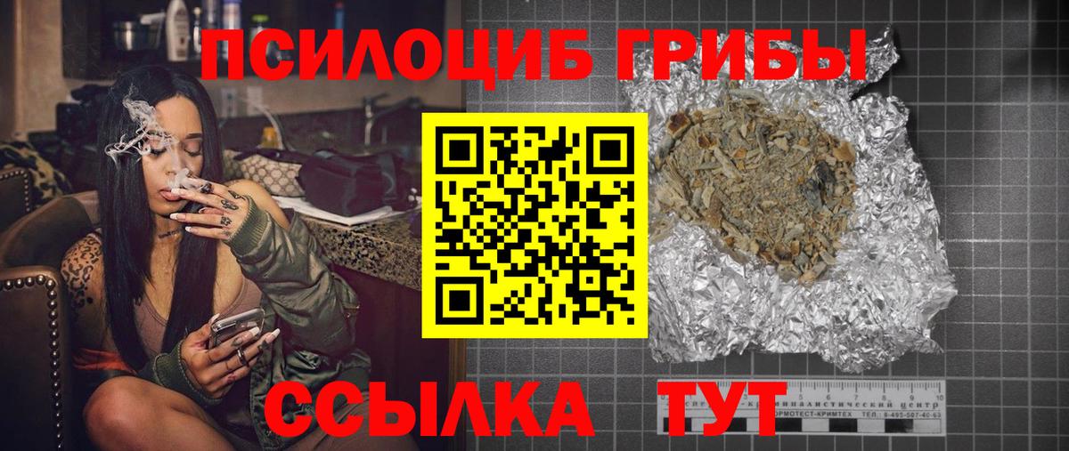 Галлюциногенные грибы Psilocybine cubensis Осинники
